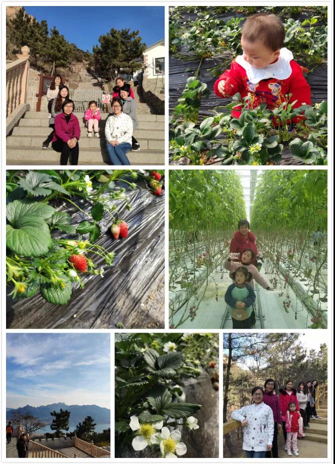 1554261527276466.jpg 2.jpg