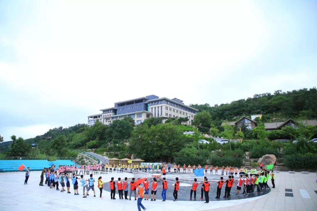 1564206196853469.jpg 5.jpg