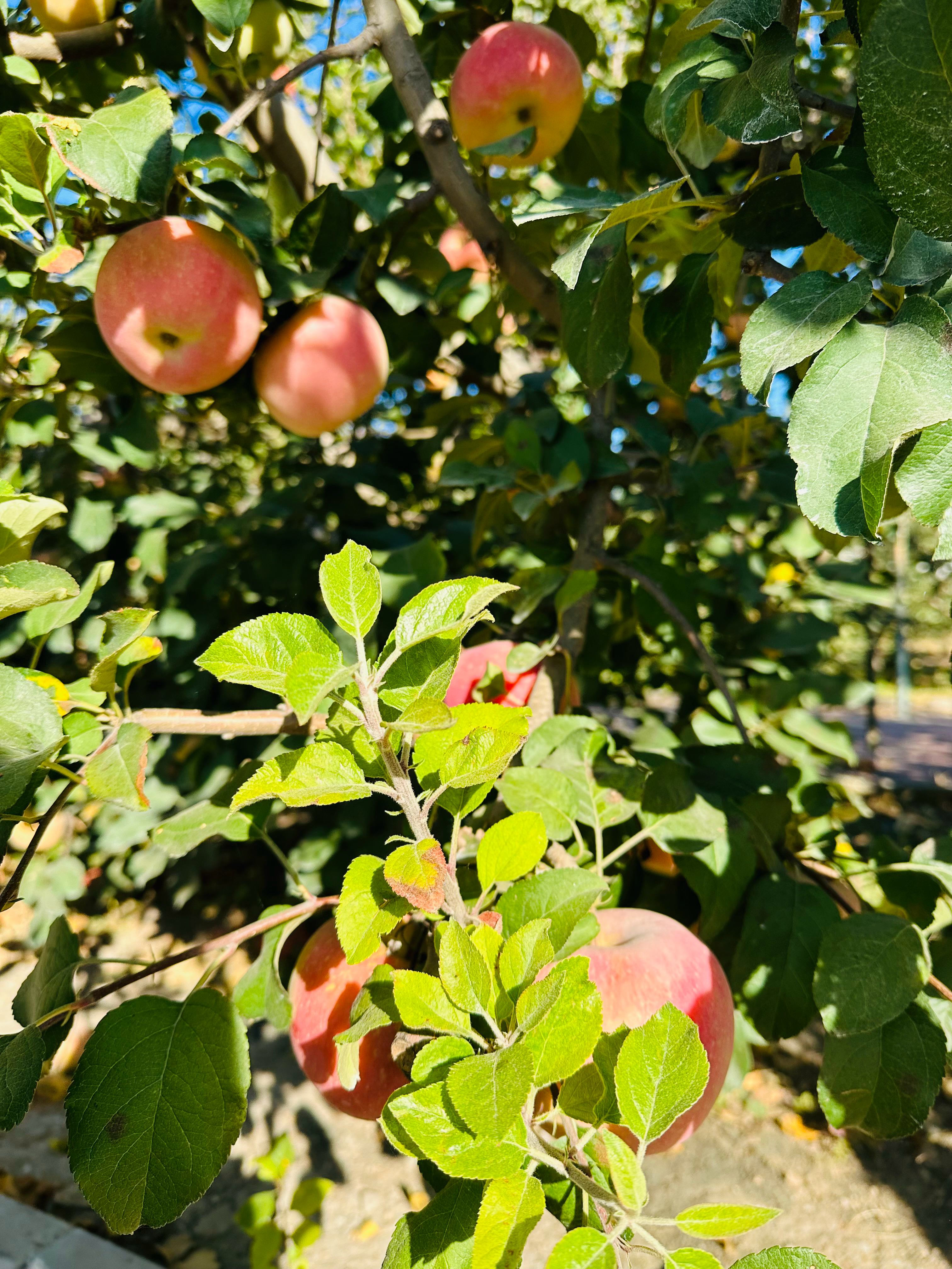 1700646416661916.jpg 5.jpg