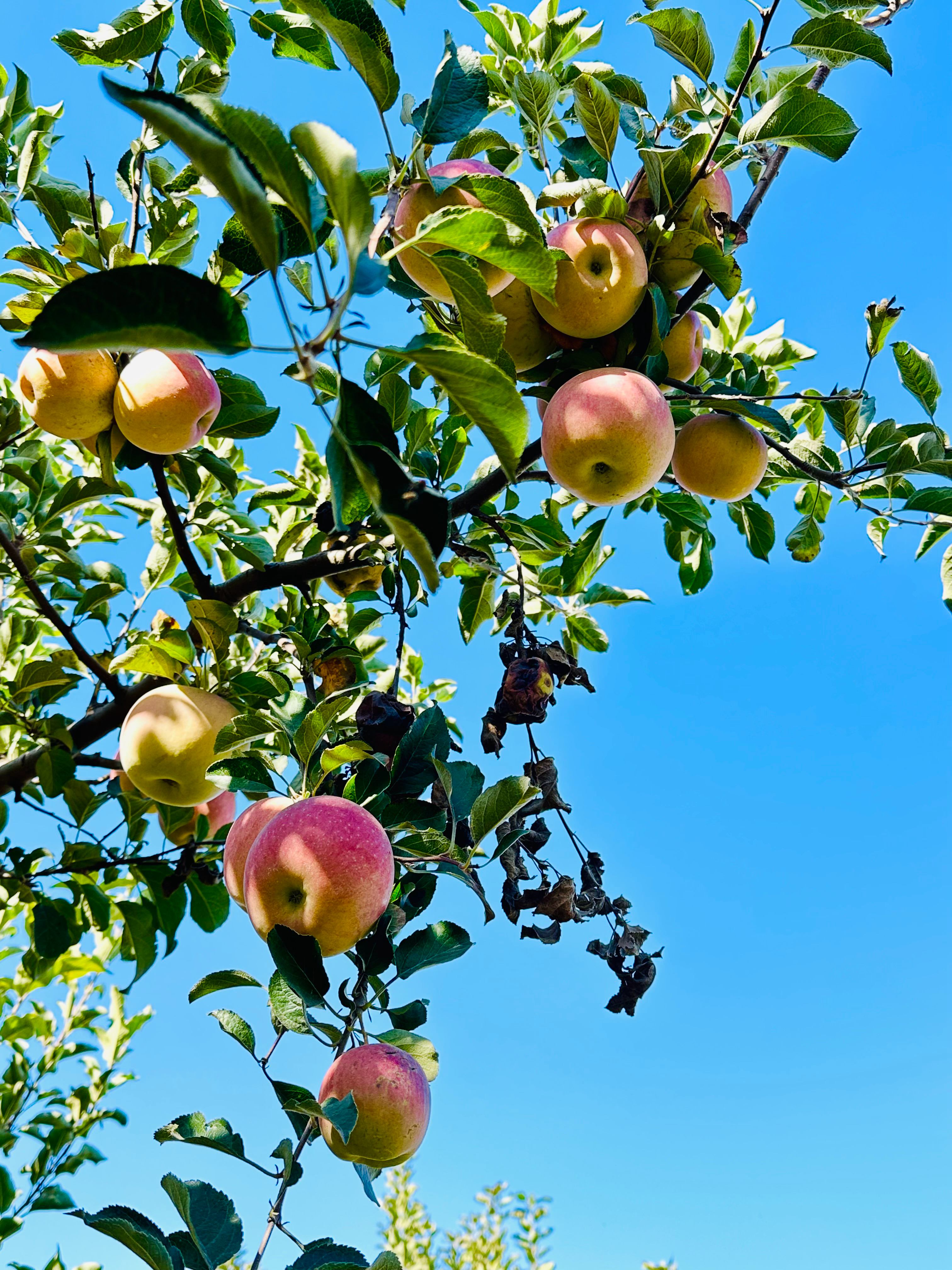 1700646420589560.jpg 6.jpg